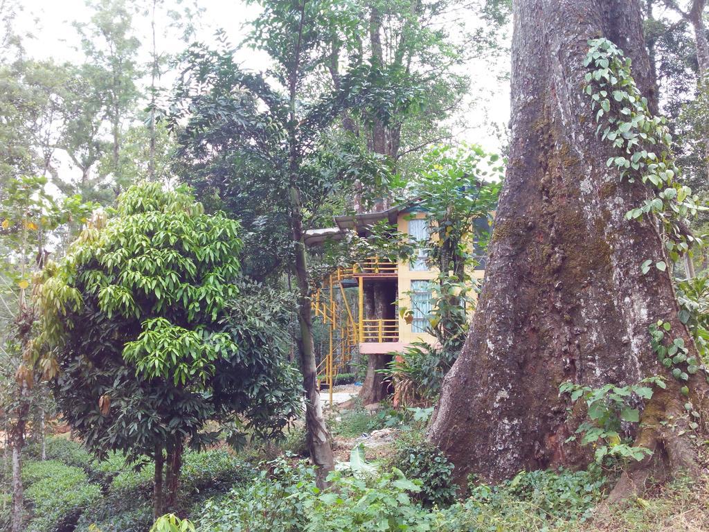 Bed and Breakfast Jungle Jive Tree House Munnar Pokoj fotografie
