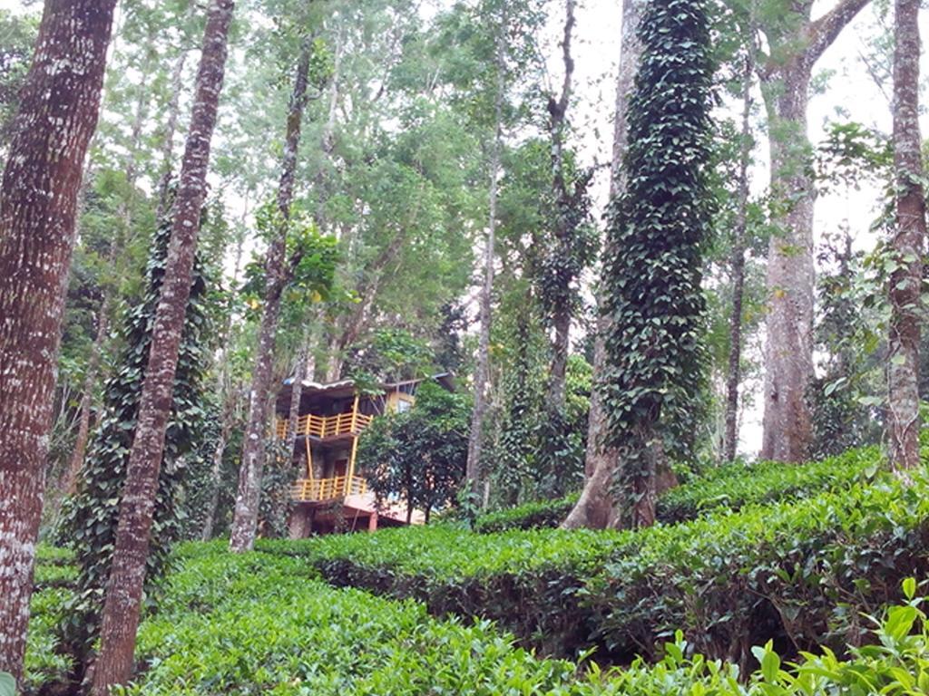 Bed and Breakfast Jungle Jive Tree House Munnar Exteriér fotografie