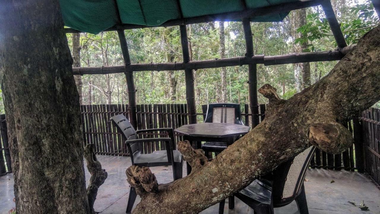 Bed and Breakfast Jungle Jive Tree House Munnar Exteriér fotografie
