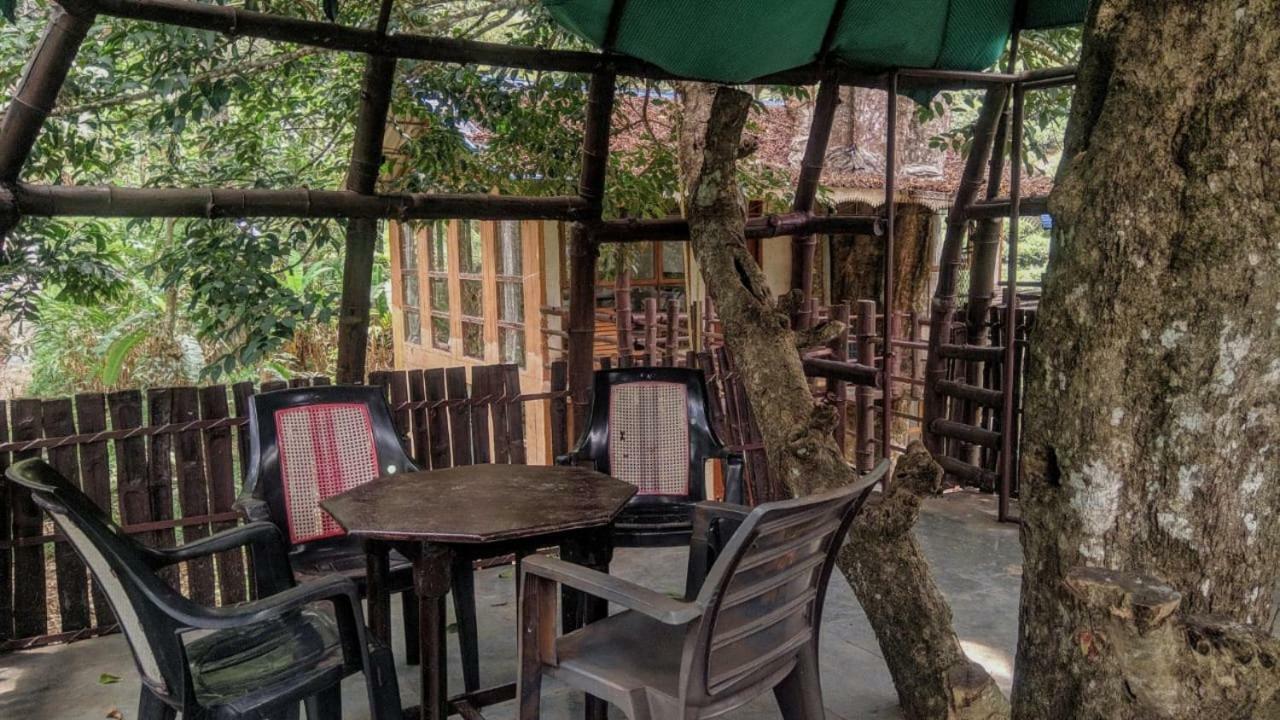 Bed and Breakfast Jungle Jive Tree House Munnar Exteriér fotografie