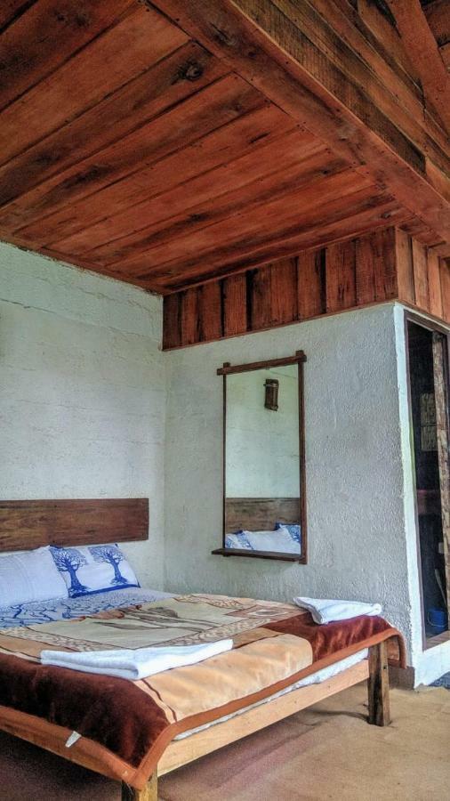 Bed and Breakfast Jungle Jive Tree House Munnar Exteriér fotografie